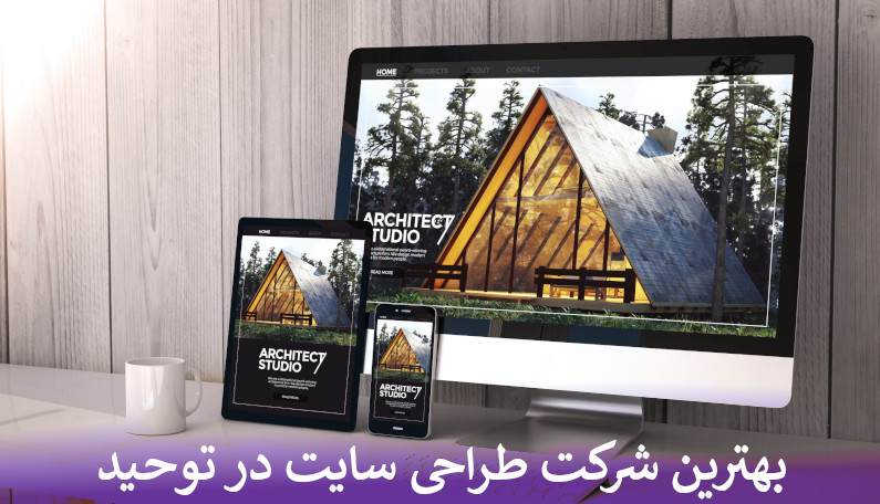 بهترین شرکت طراحی سایت در توحید